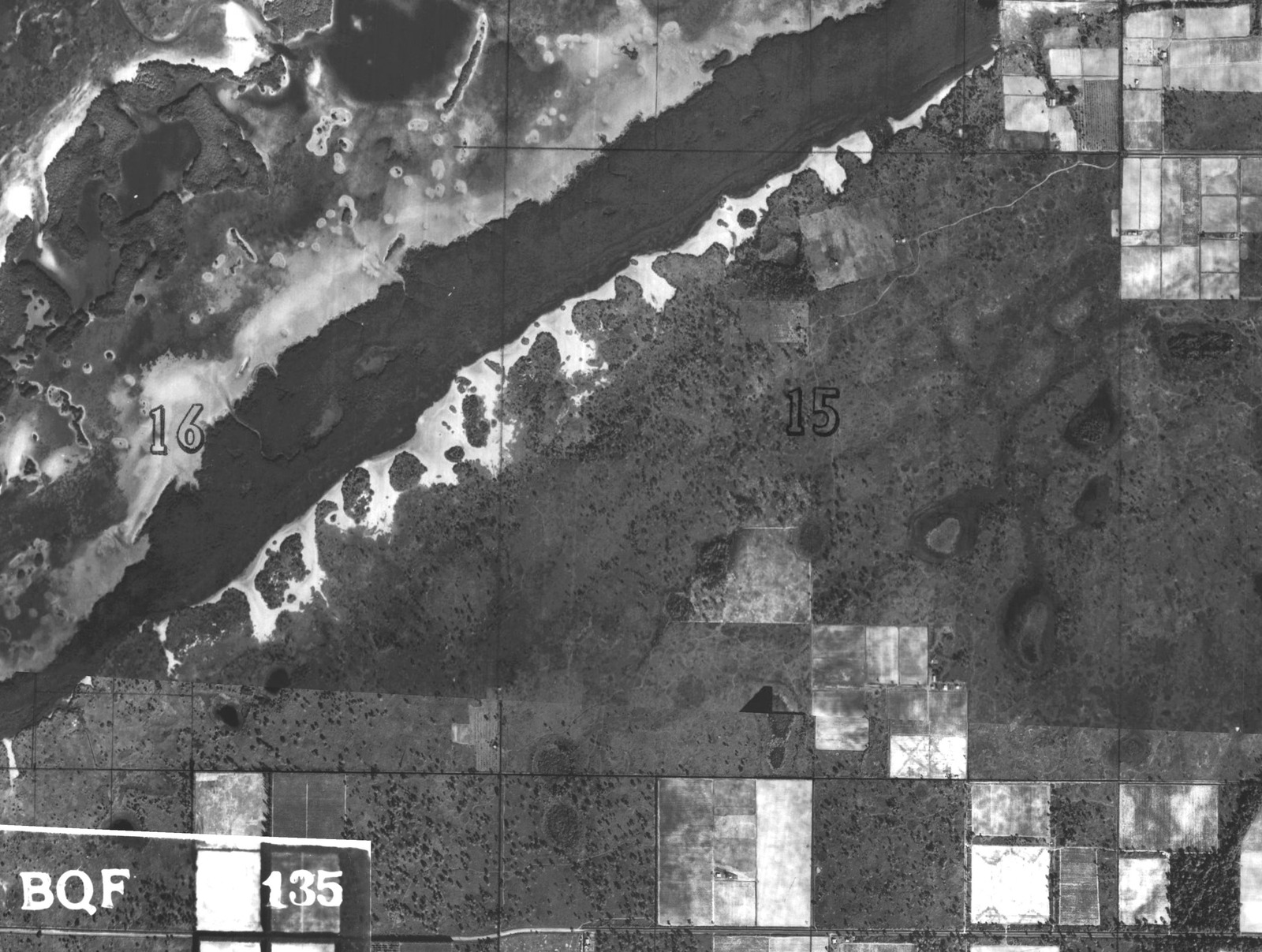 Black-and-white Hillsborough County aerial mosaic of the Cockroach Bay viewport, photographed from November 1938 through January 1939.