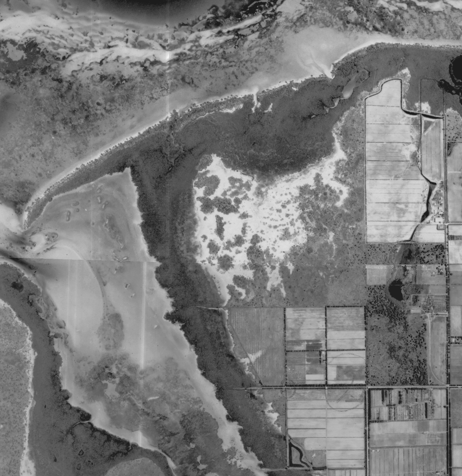 Black-and-white Manatee County aerial mosaic of the Robinson Preserve viewport, published as 1940, with rectangular farm fields visible in the east and south.